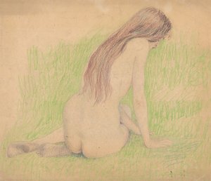 Naakt in het gras door Ivan Zabota
